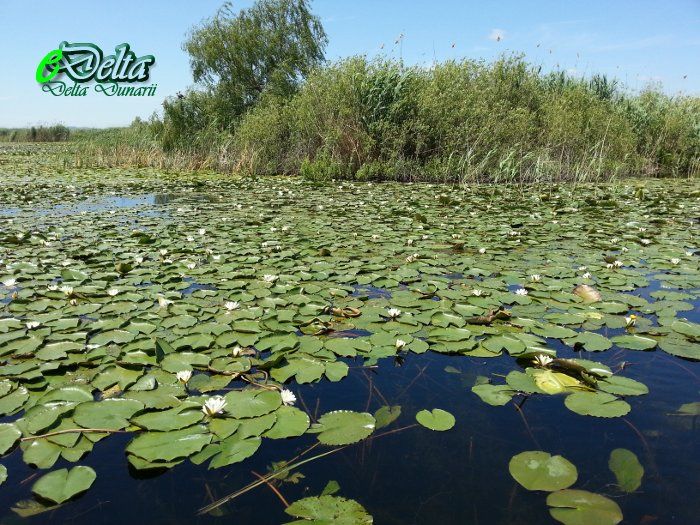 Delta Dunarii -  un adevarat paradis natural